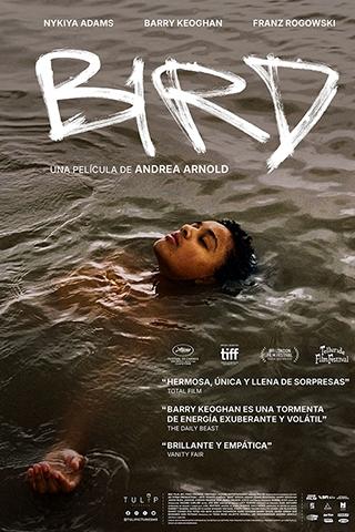 Programa Permanente: Bird