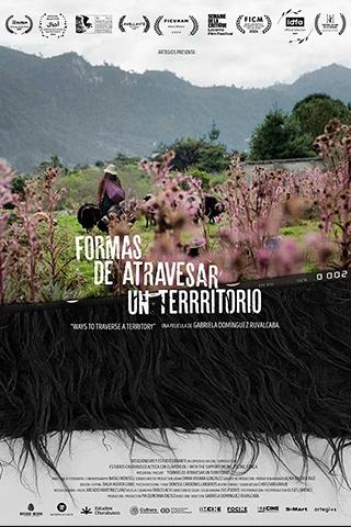 Programa Permanente: Formas de atravesar un territorio